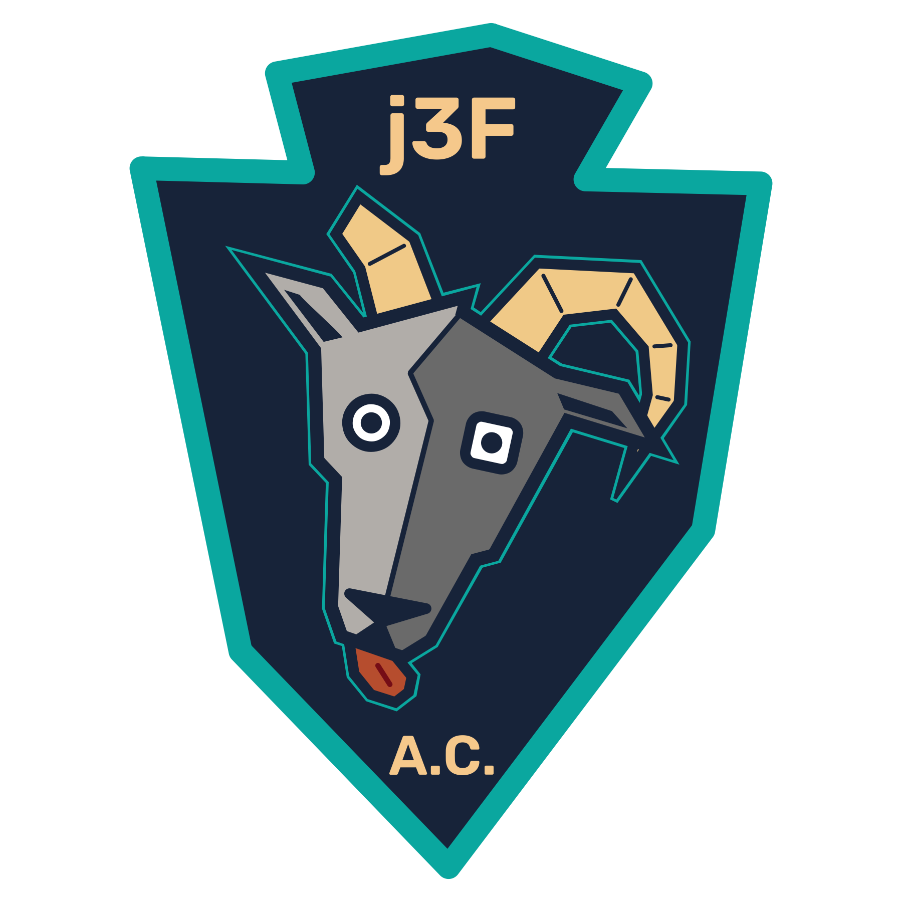 J3F AC image